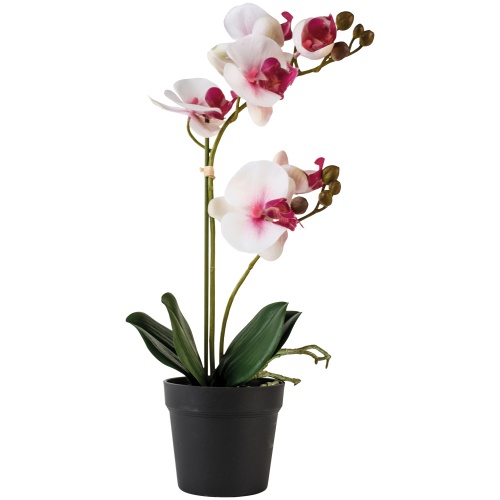 Faux  Orchid in a Pot White with Pink Flush by Grand Illusions